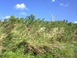 kawailoa Wind Farm 1140 km
